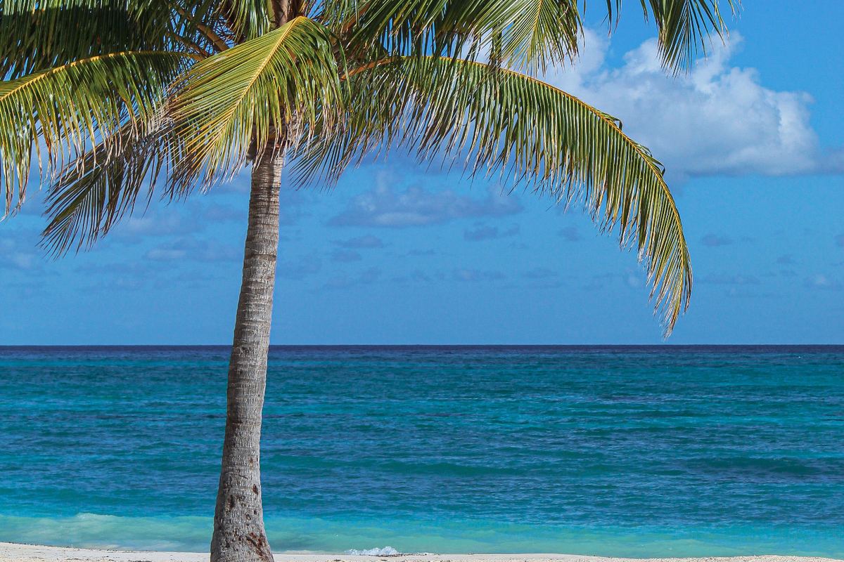 Jamaica & Caribbean tropical beach experience